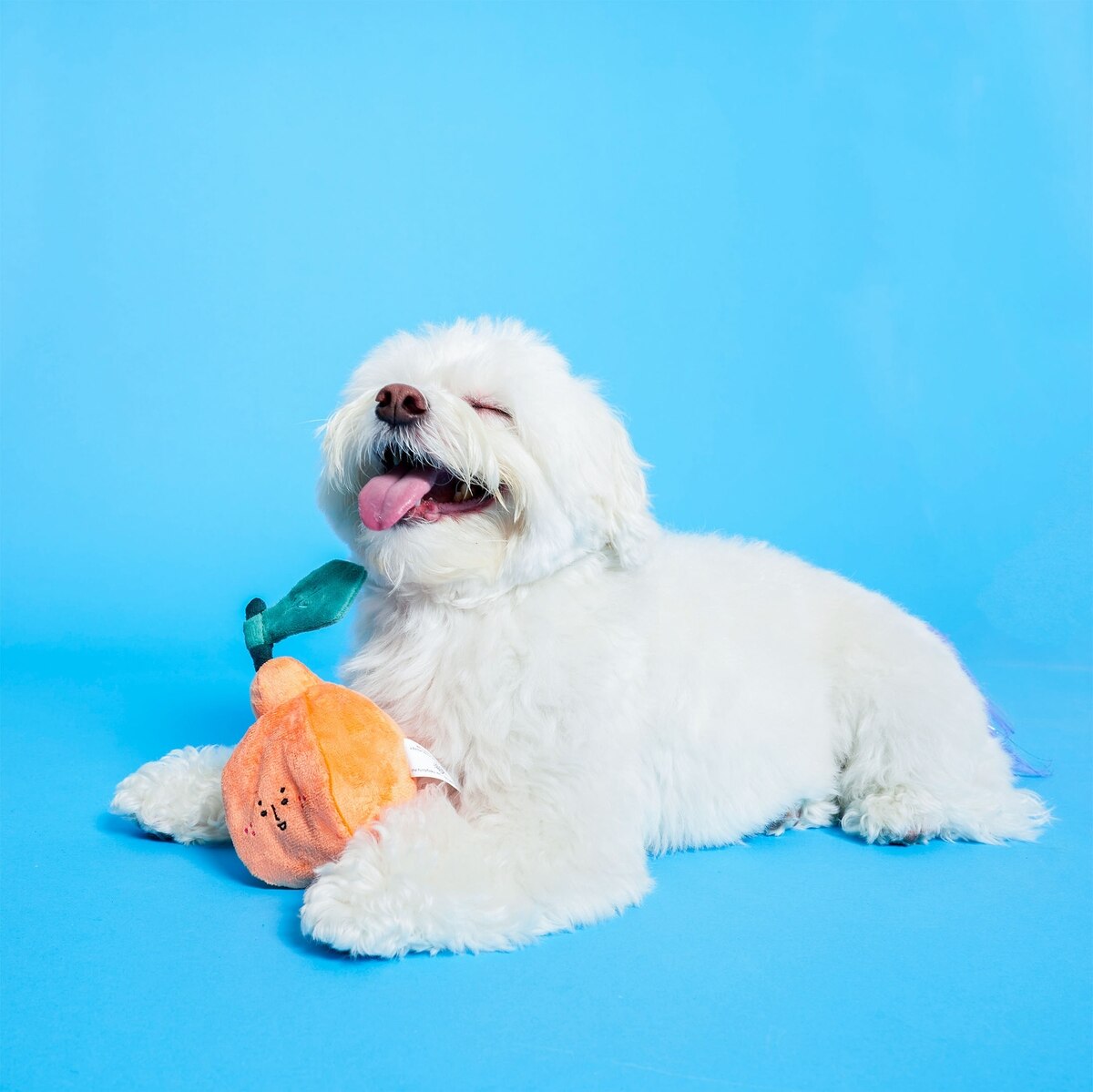 Пошукова іграшка ORANGE The Furryfolks