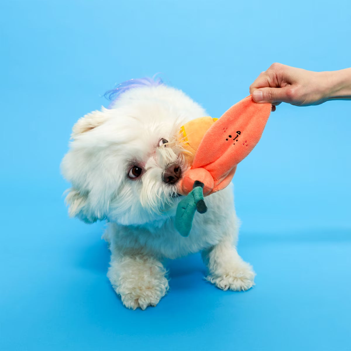 Пошукова іграшка ORANGE The Furryfolks