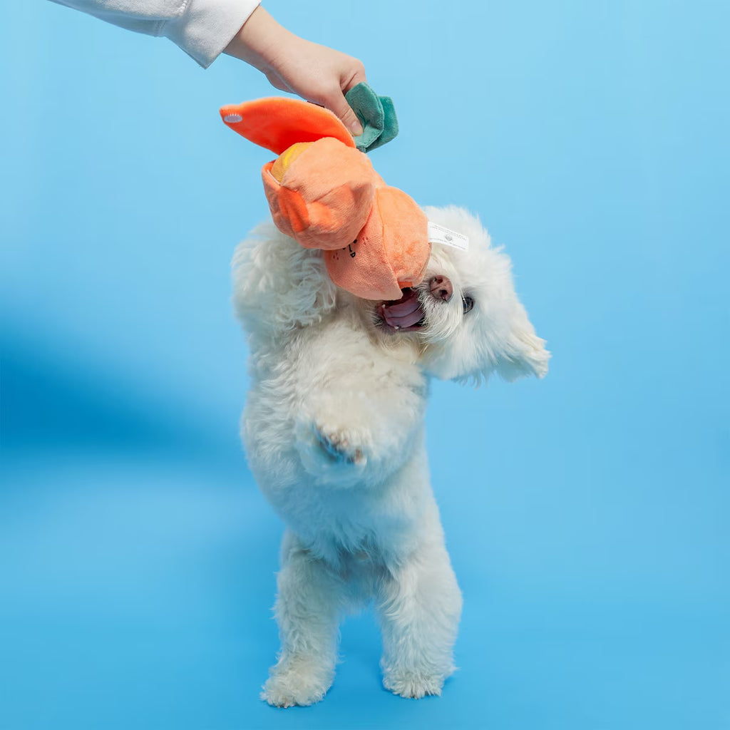 Пошукова іграшка ORANGE The Furryfolks