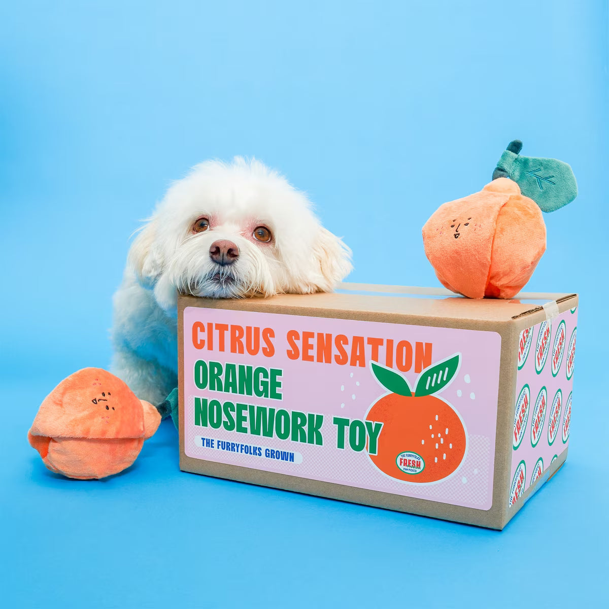 Пошукова іграшка ORANGE The Furryfolks