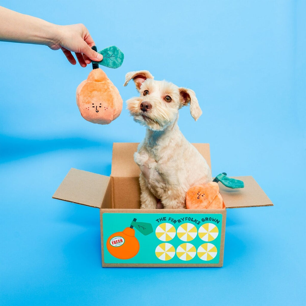 Пошукова іграшка ORANGE The Furryfolks