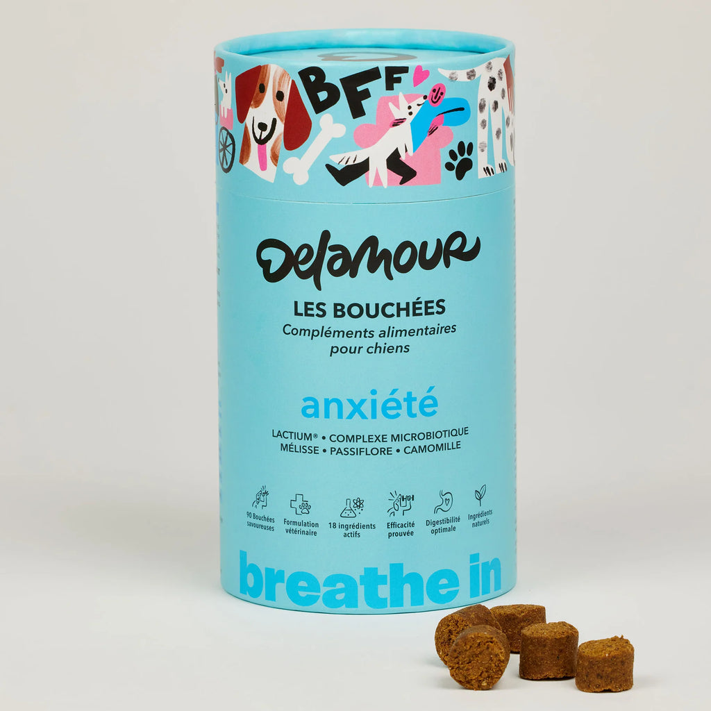 Байтси для заспокоєння Les Bouchées Anxiété Delamour Paris