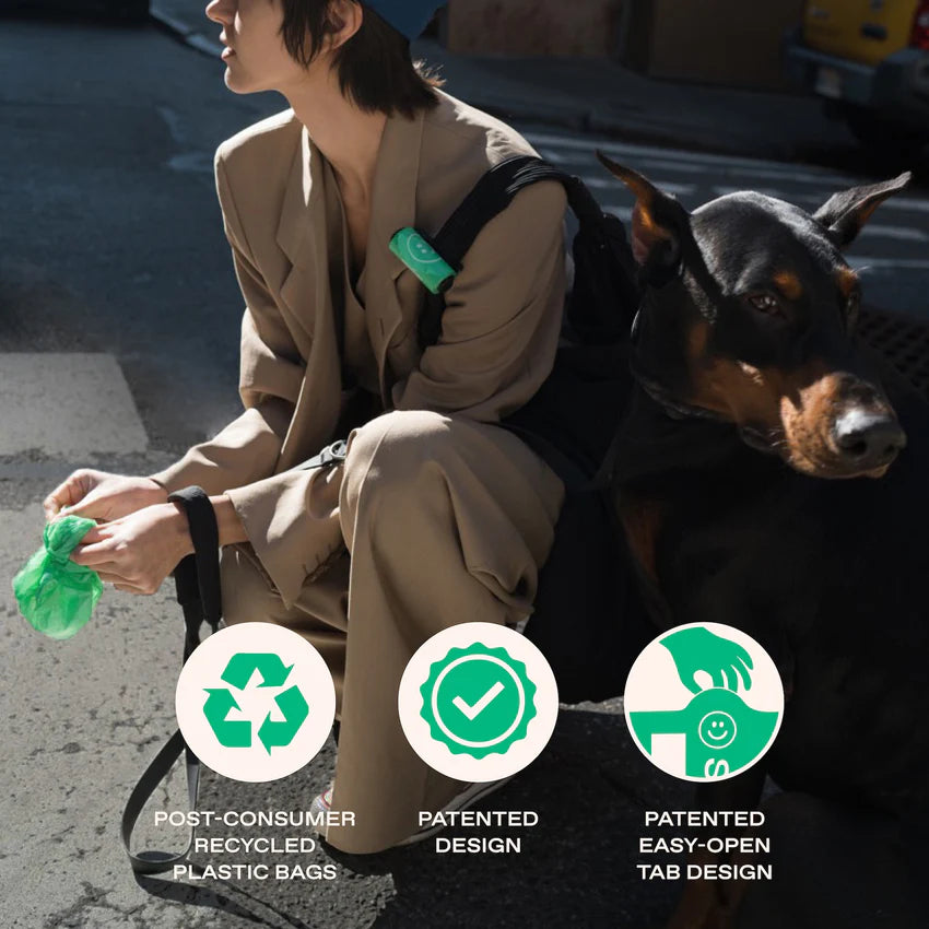 Диспенсер для пакетиків Springer Green Springer