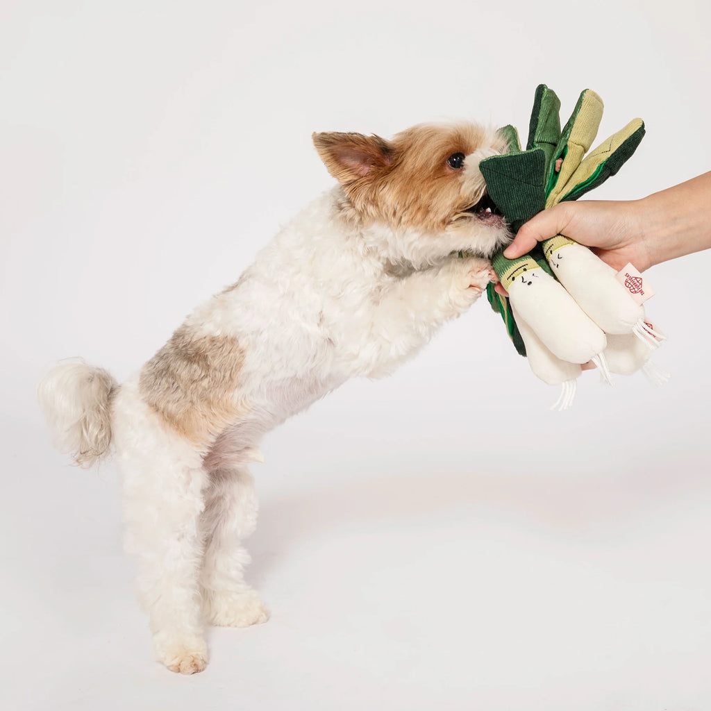Пошукова іграшка Green Onion The Furryfolks