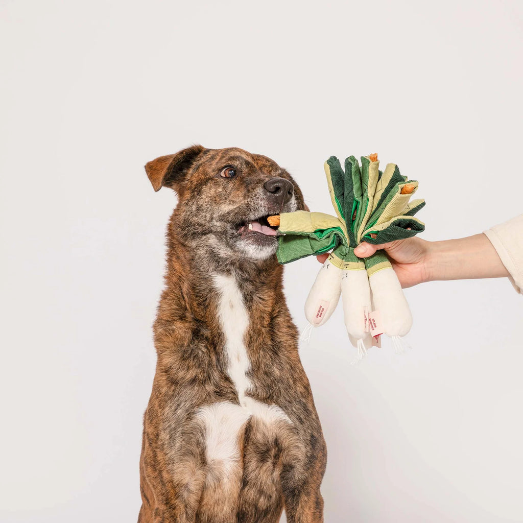 Пошукова іграшка Green Onion The Furryfolks