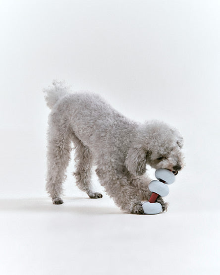 Інтерактивна іграшка Dango Misty blue Roika