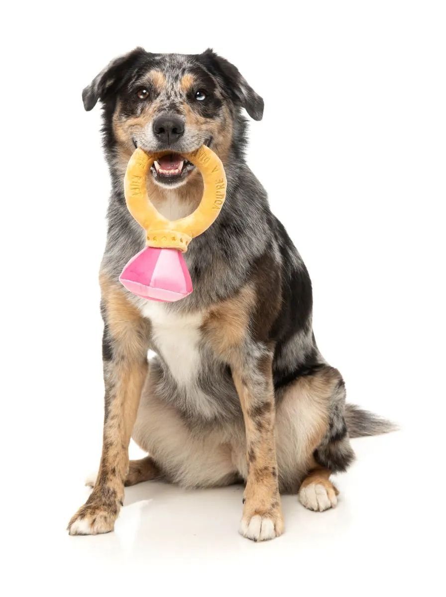 М'яка іграшка Diamond in the Ruff Ring FuzzYard