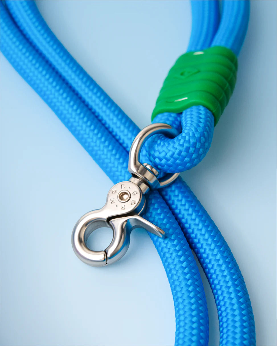 Повідець для собак Marshmallow Standart Enchanted Blue Maogoublue 150 см