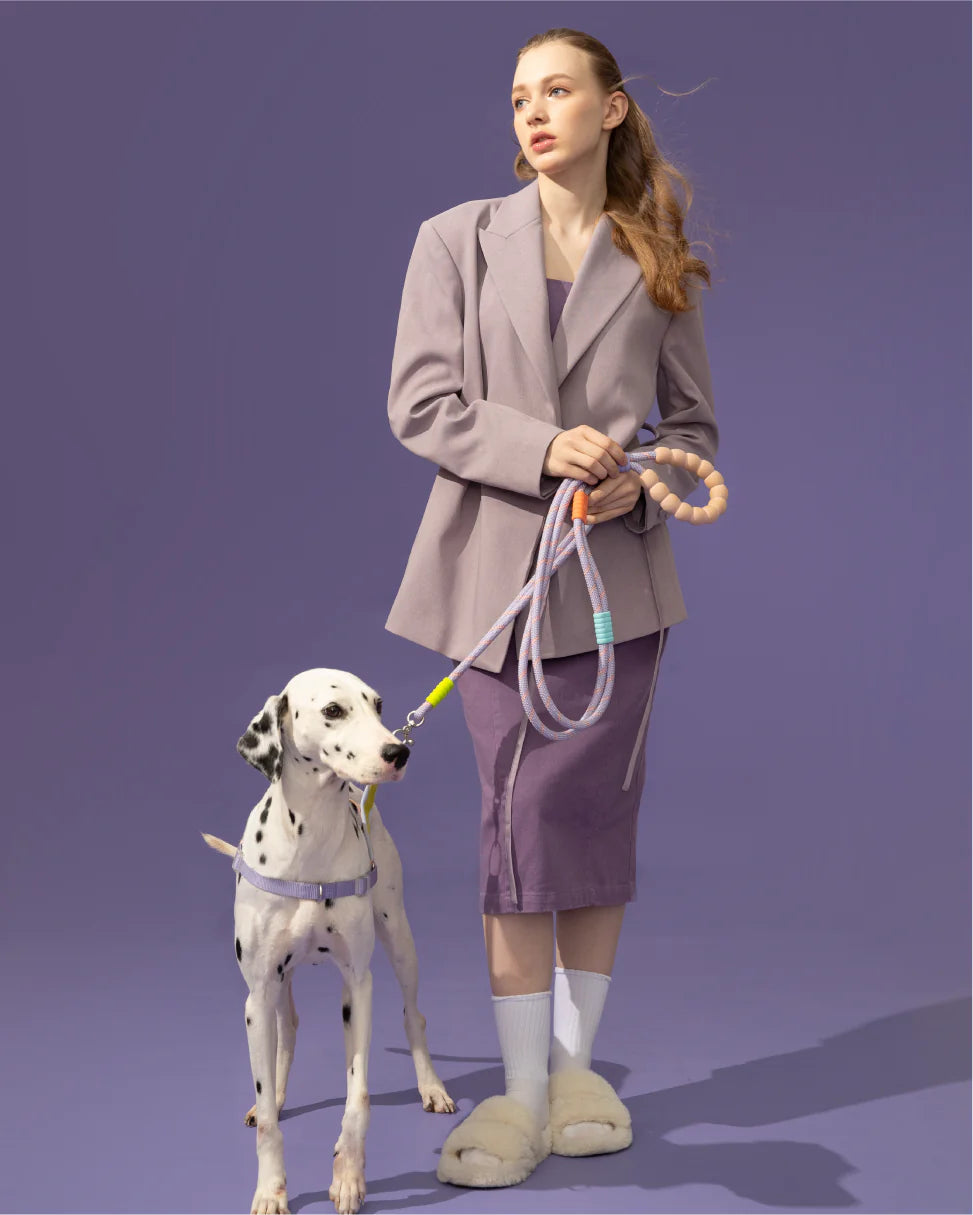 Повідець для собак Plus Mauve Purple Maogoublue 150 см
