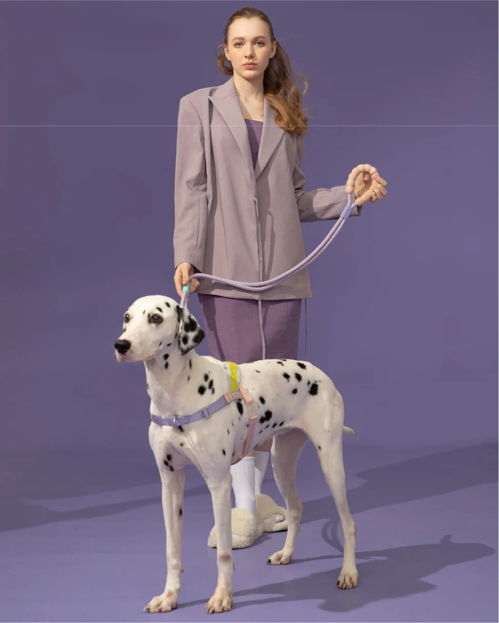 Повідець для собак Plus Mauve Purple Maogoublue 150 см