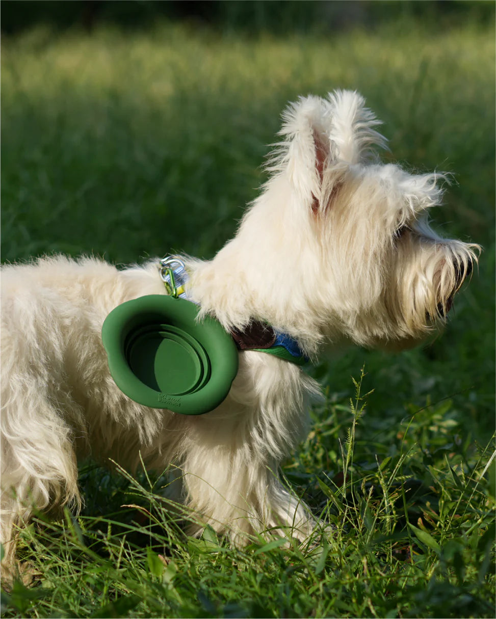 Складна миска Marshmallow Foldable Lush Green Bowl Maogoublue