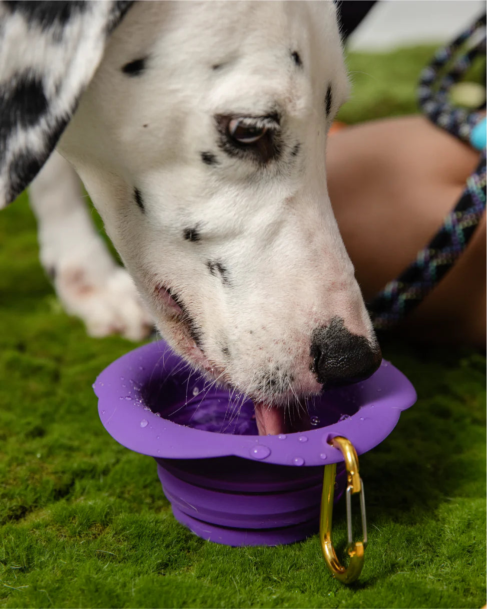 Складна миска Marshmallow Foldable Neon Jam Bowl Maogoublue