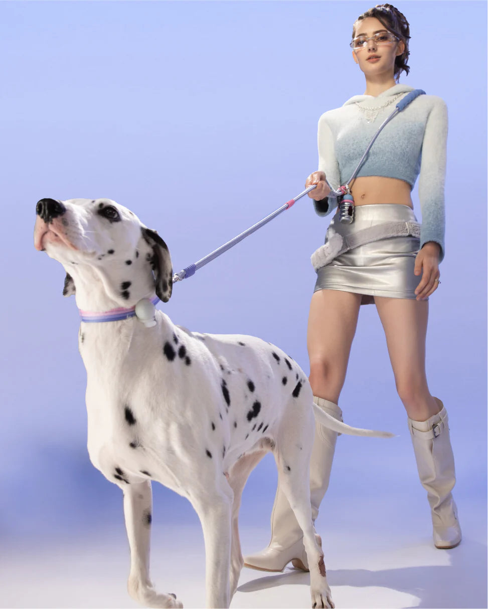 Повідець для собак Silver Moon SMART LEASH Maogoublue 150 см