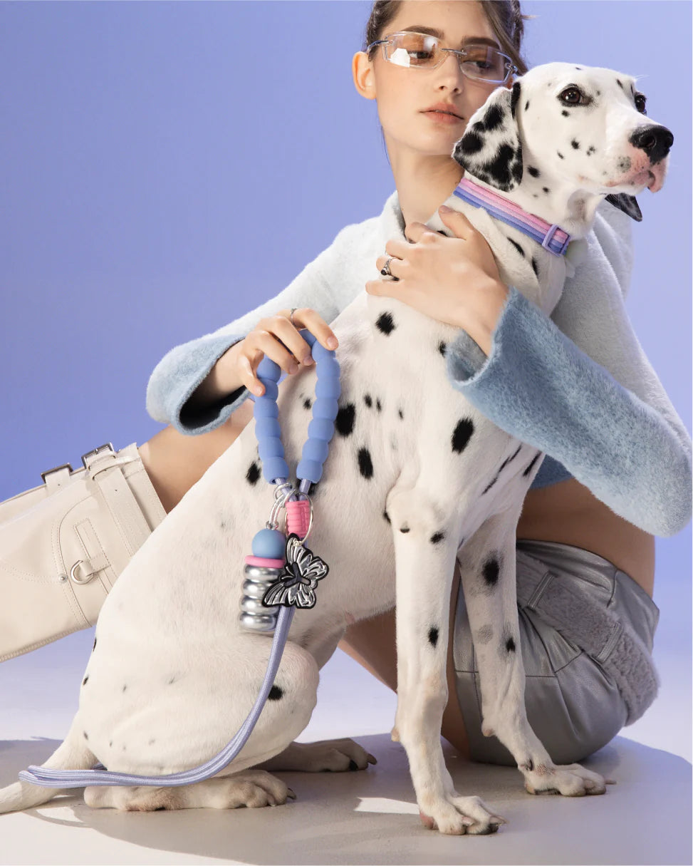 Повідець для собак Silver Moon SMART LEASH Maogoublue 150 см