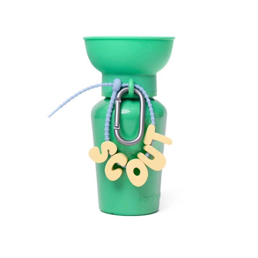 Дорожня пляшечка для води Flip Green Springer/Springland 590 мл