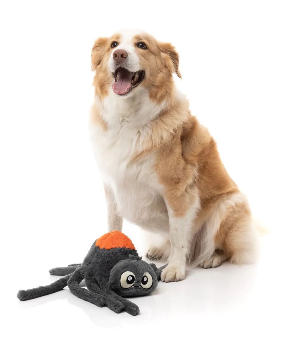 Іграшка Arachnate the Spider FuzzYard