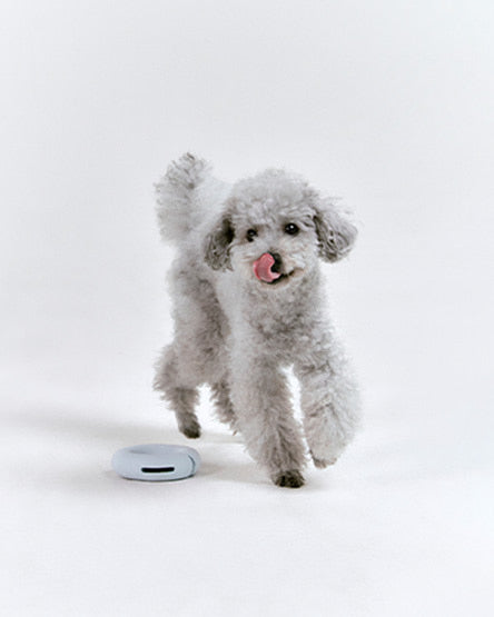 Інтерактивна іграшка Gori Misty blue Roika