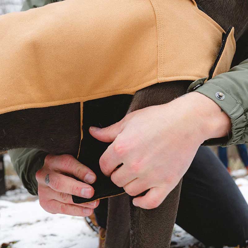 Попона для собак Coat Beige Zee.Dog