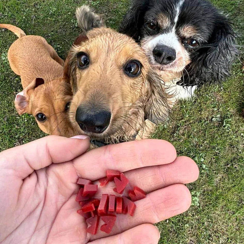 Веганські смаколики в коробочках з гарбузом та димним смаком Wowzers W'ZIS 35 г