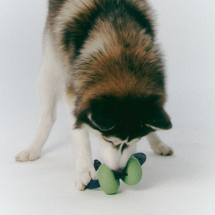 Інтерактивна іграшка Dango Ring Butter yellow Roika