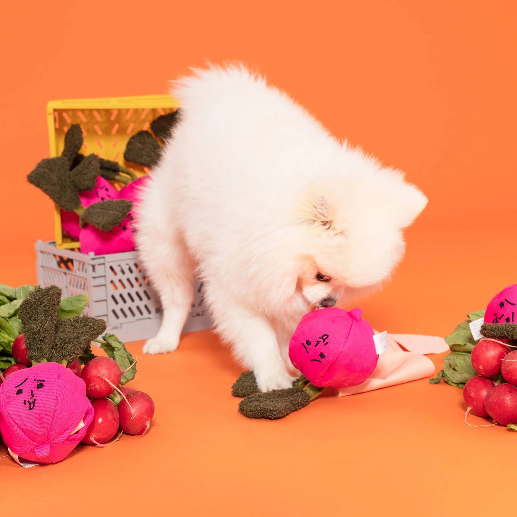 Пошукова іграшка Radish The Furryfolks