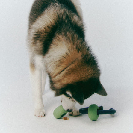 Інтерактивна іграшка Dango Ring Misty blue Roika