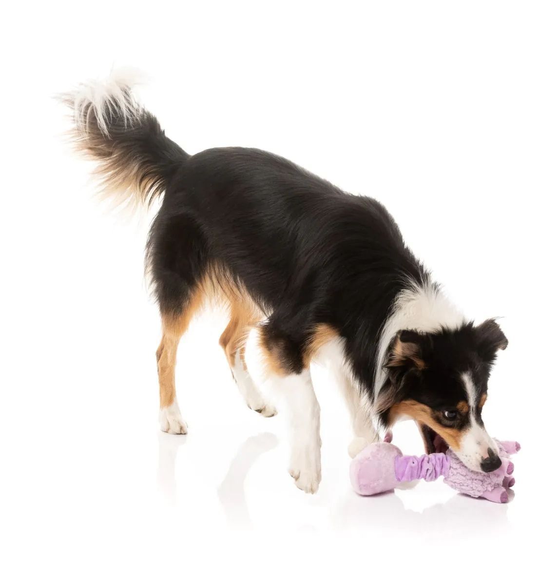 Іграшка Neck Minnit Neckita FuzzYard