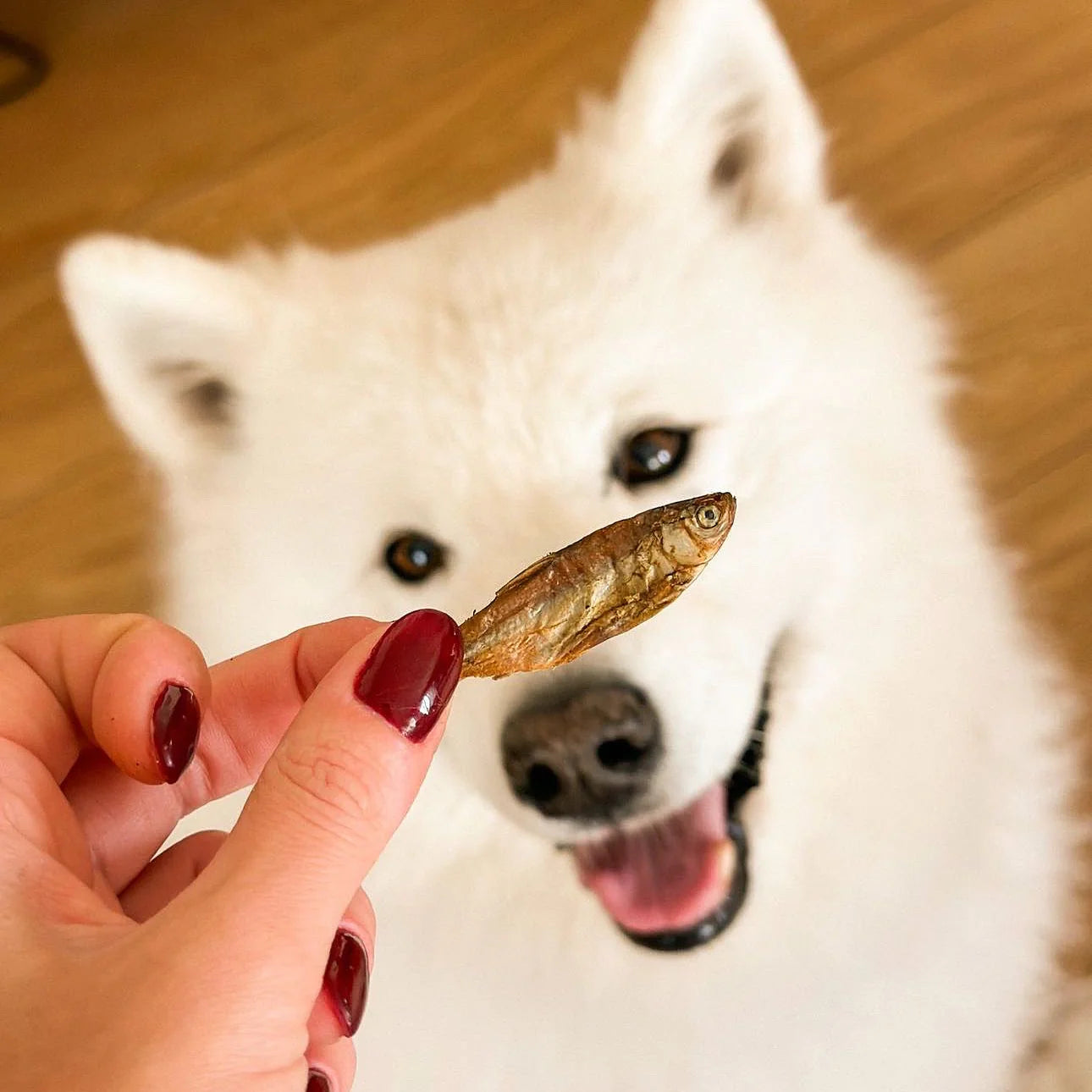 Натуральні сушені рибки Gone Fishing Cooka's Cookies 90 г