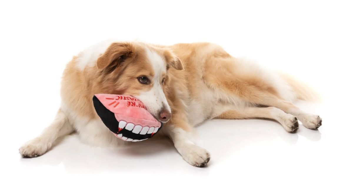 Іграшка Drac’s Dentures FuzzYard