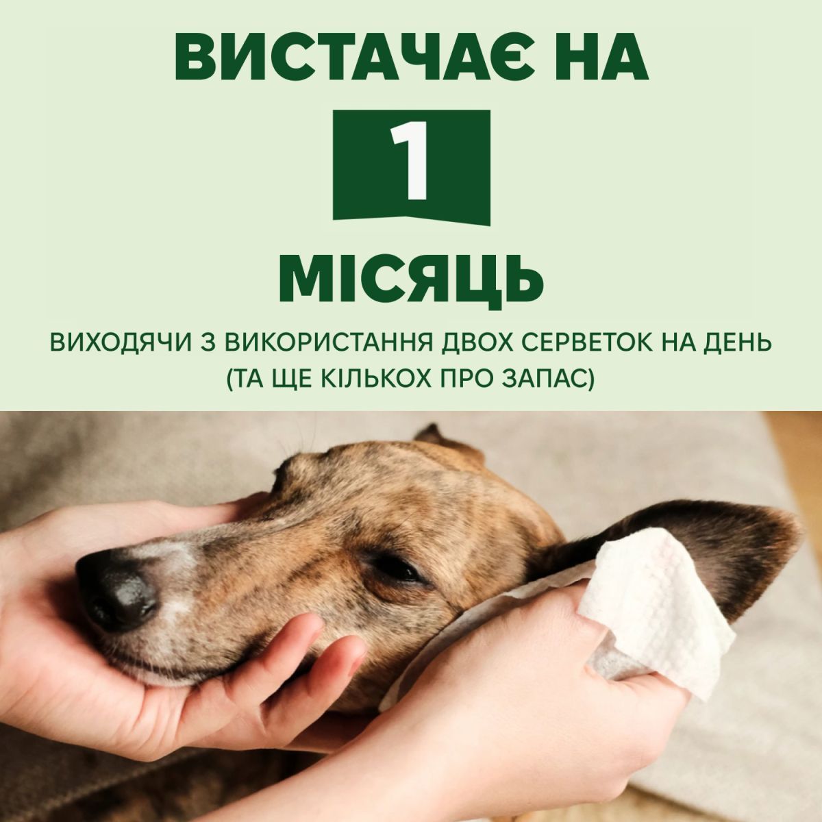 Бамбукові серветки для очищення вушок Dog Ear Wipes Beco Pets 70 шт