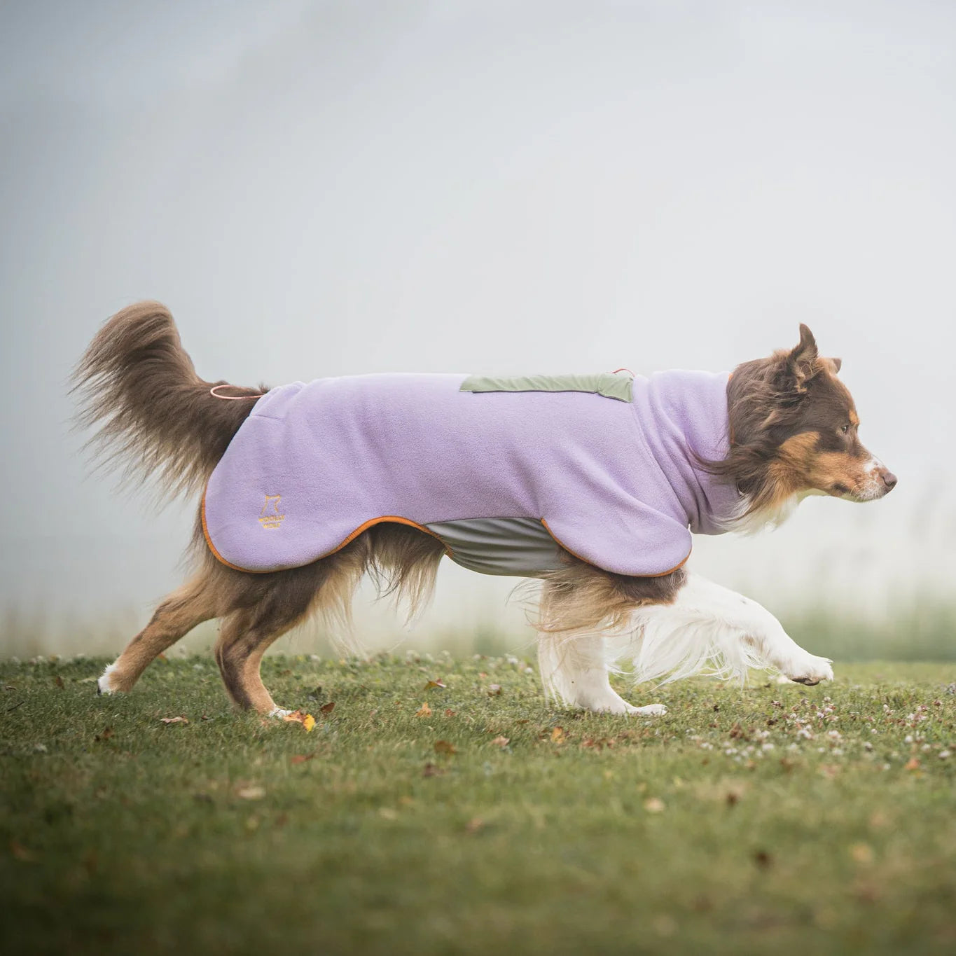 Флісова попона - пуловер для собак Alpha 360 Lavender Mix Woolly Wolf