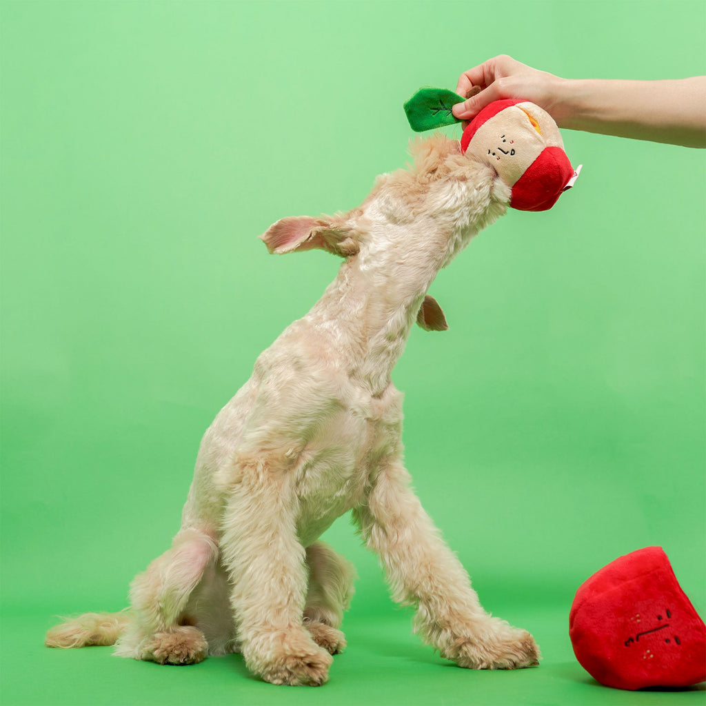 Пошукова іграшка Apple The Furryfolks