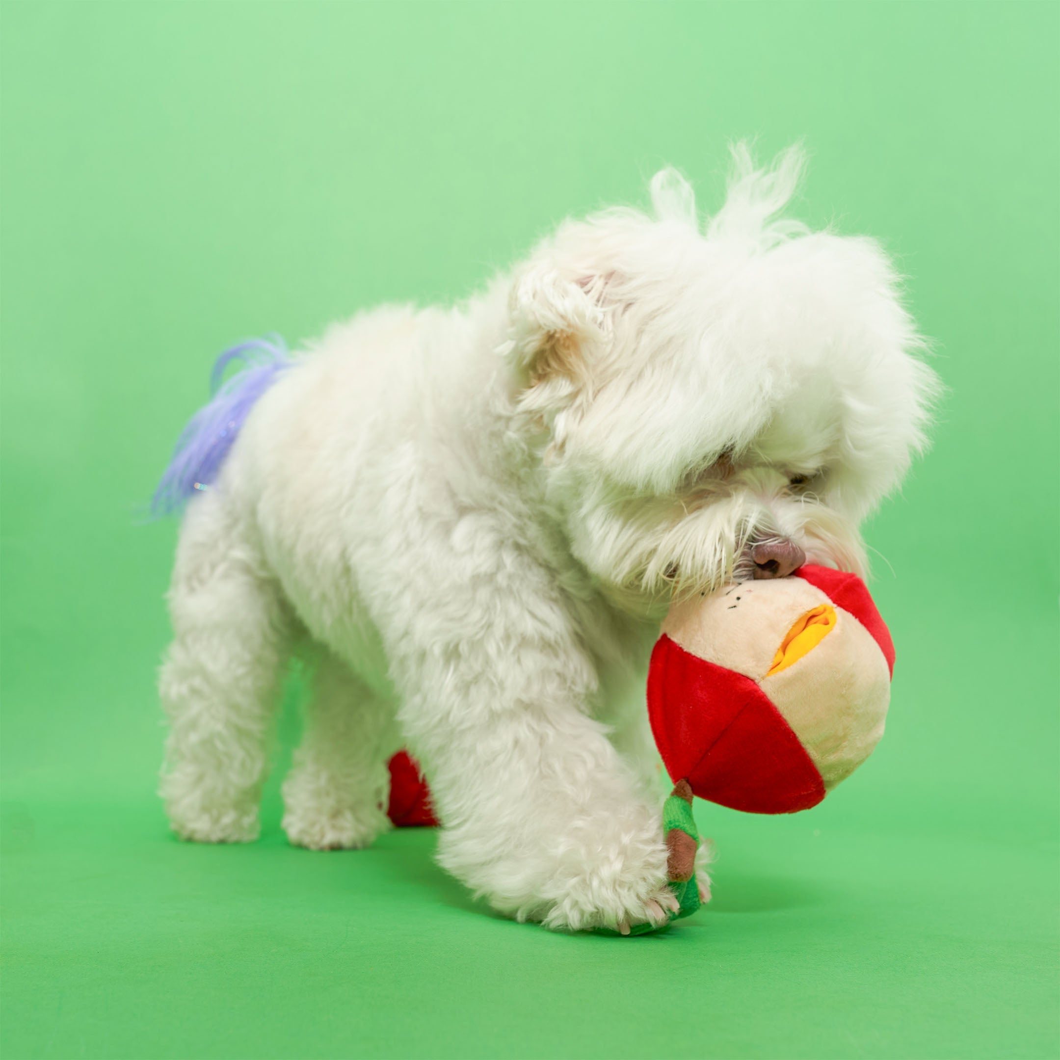 Пошукова іграшка Apple The Furryfolks