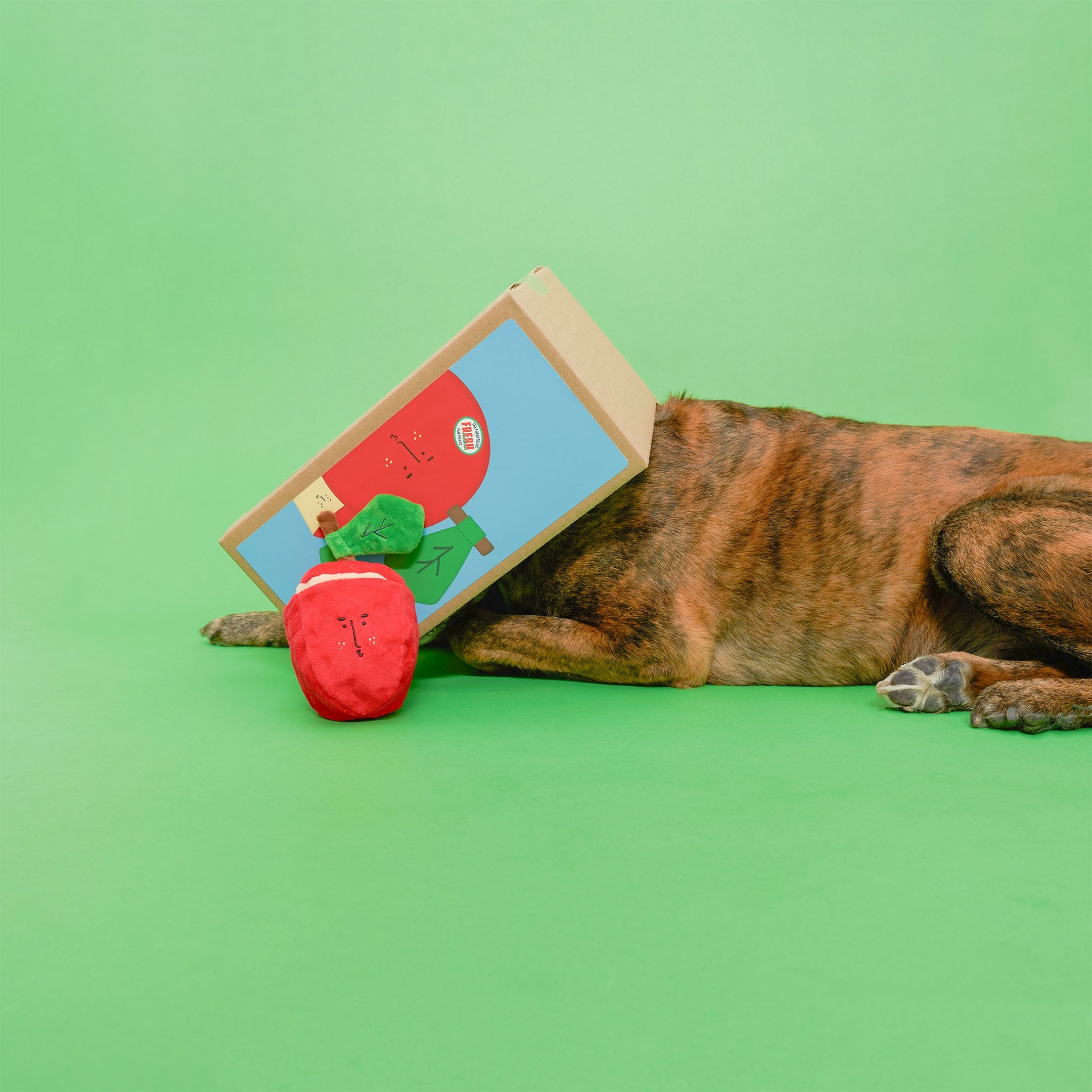Пошукова іграшка Apple The Furryfolks