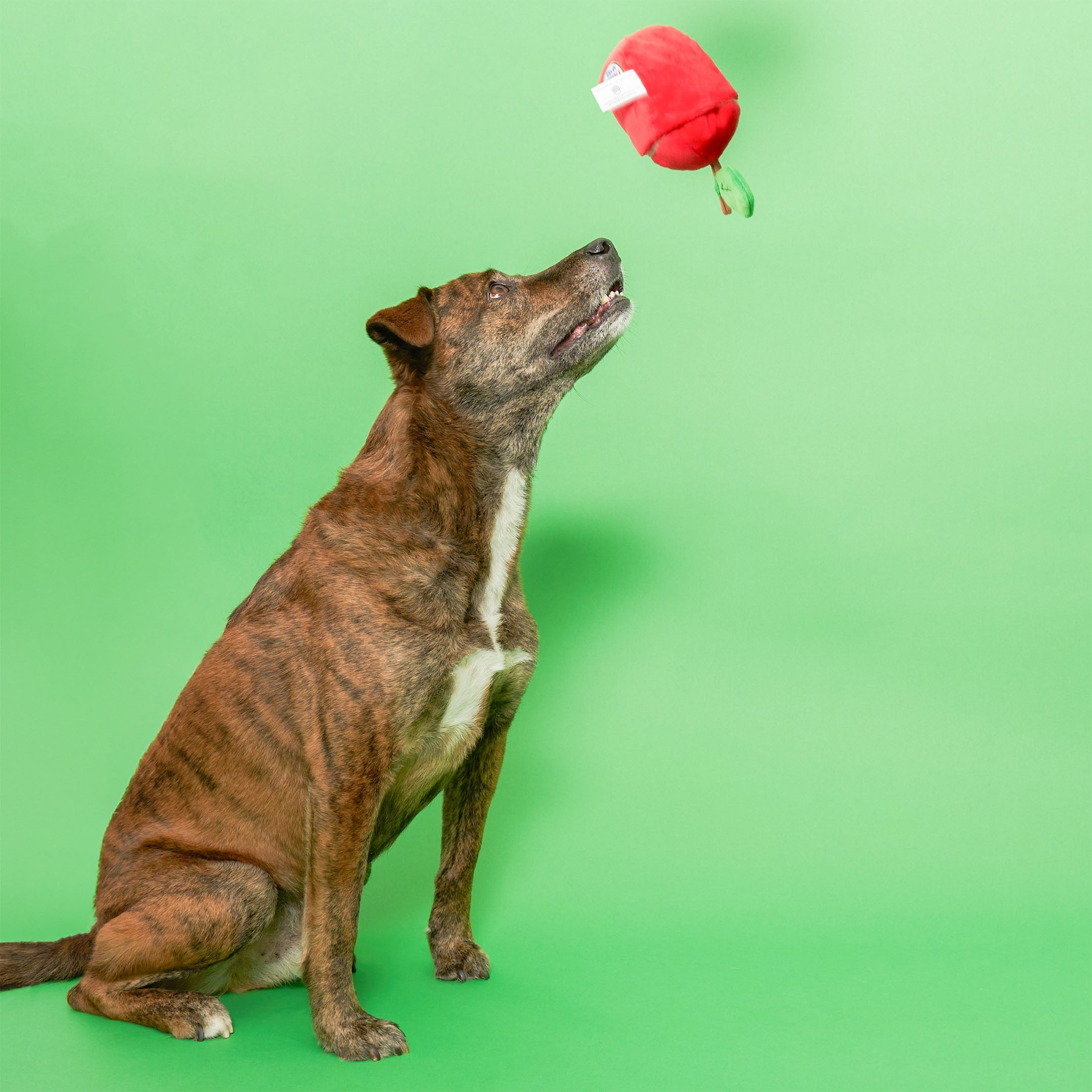 Пошукова іграшка Apple The Furryfolks