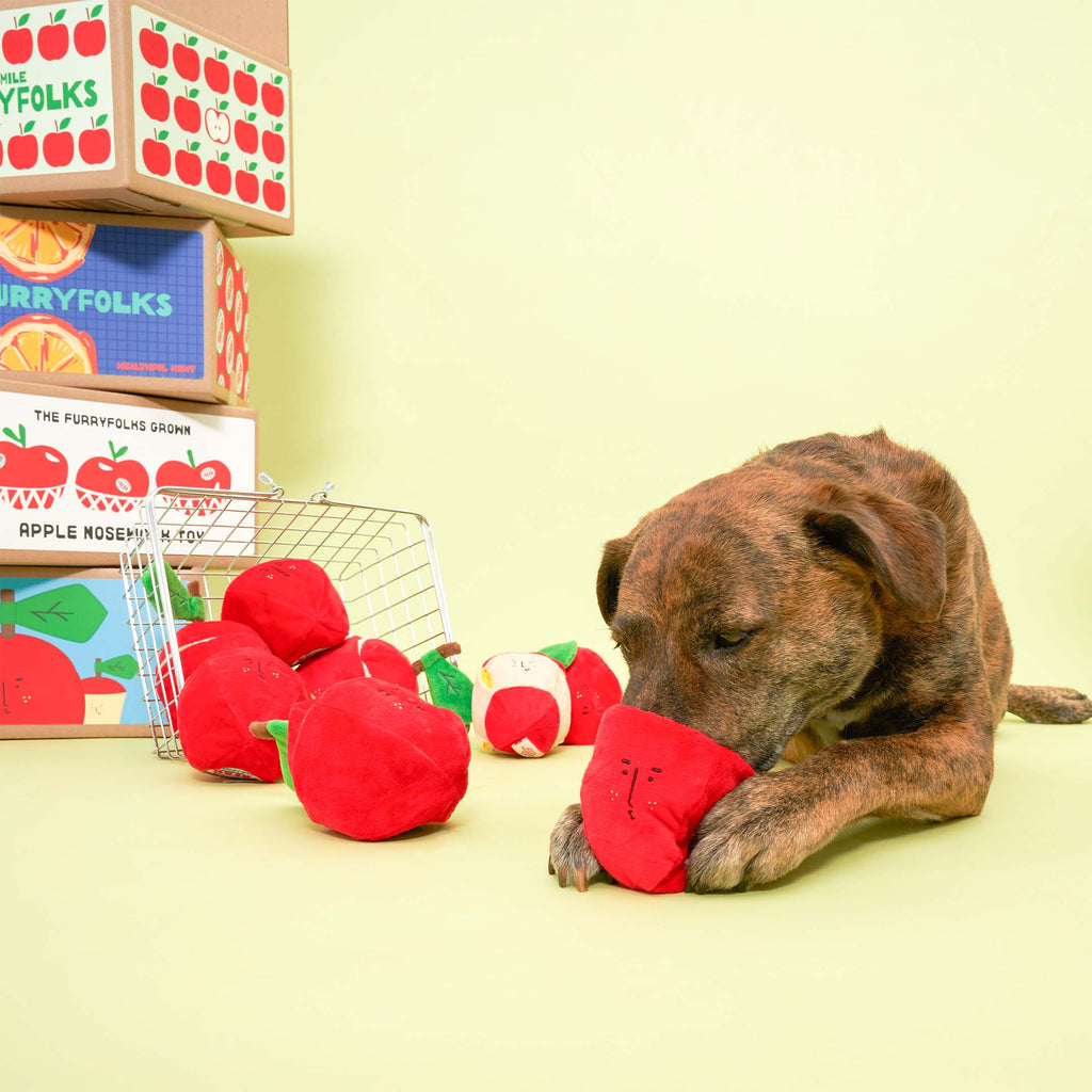 Пошукова іграшка Apple The Furryfolks