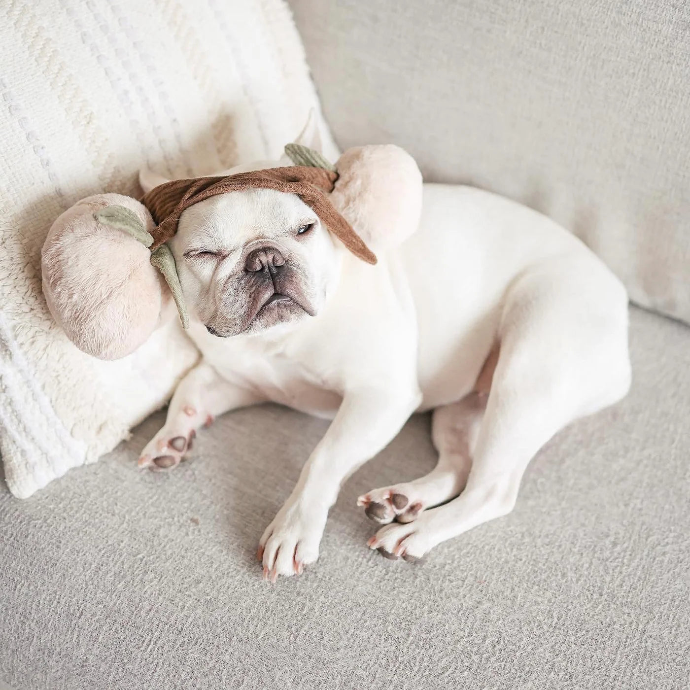 Пошукова іграшка MOMO lambwolf collective