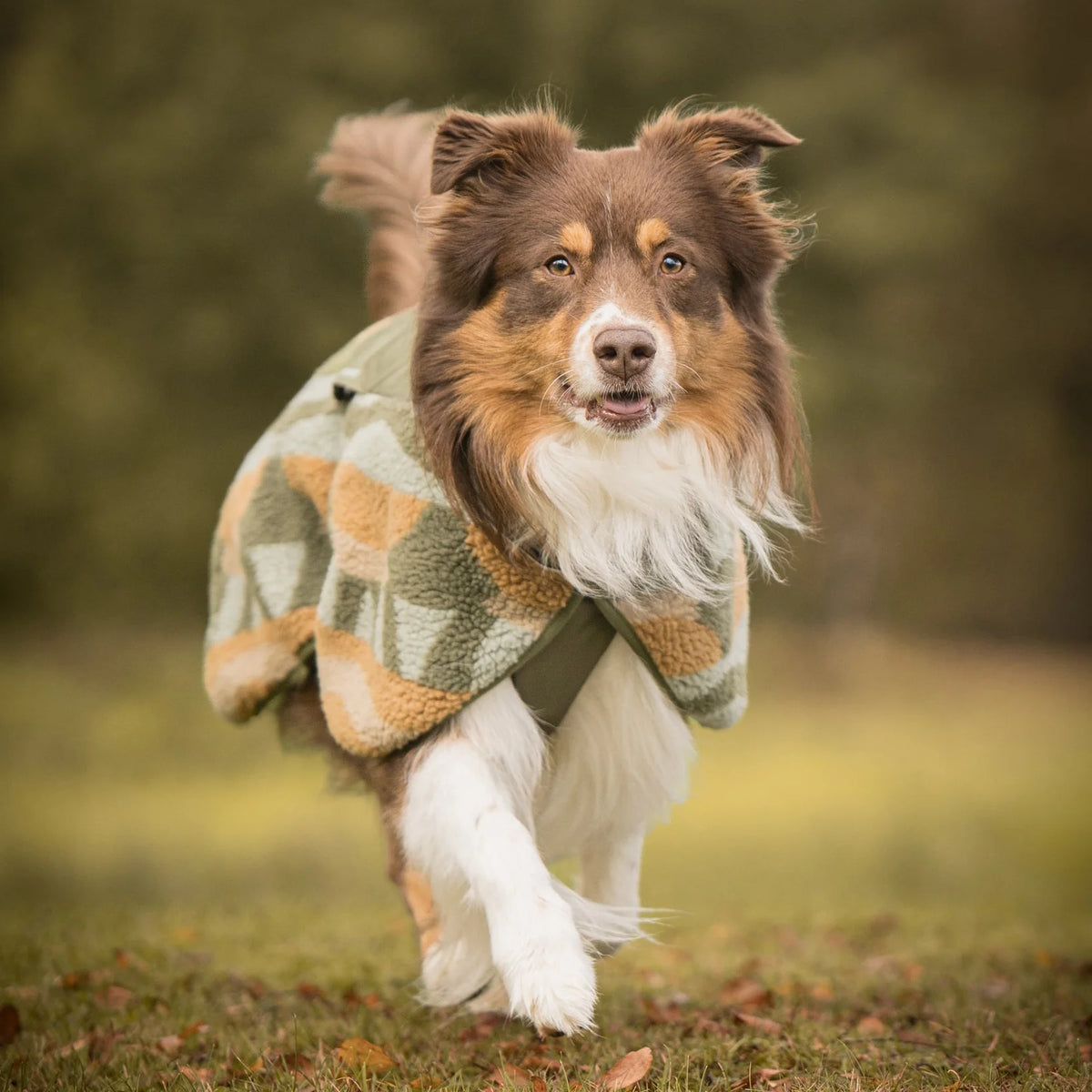 Флісова куртка-попона для собак Borealis Pile Fleece jacket Cloudbeam Woolly Wolf