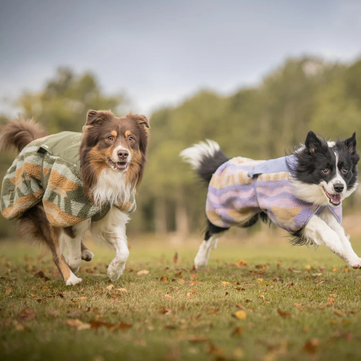 Флісова куртка-попона для собак Borealis Pile Fleece jacket Sunshower Woolly Wolf