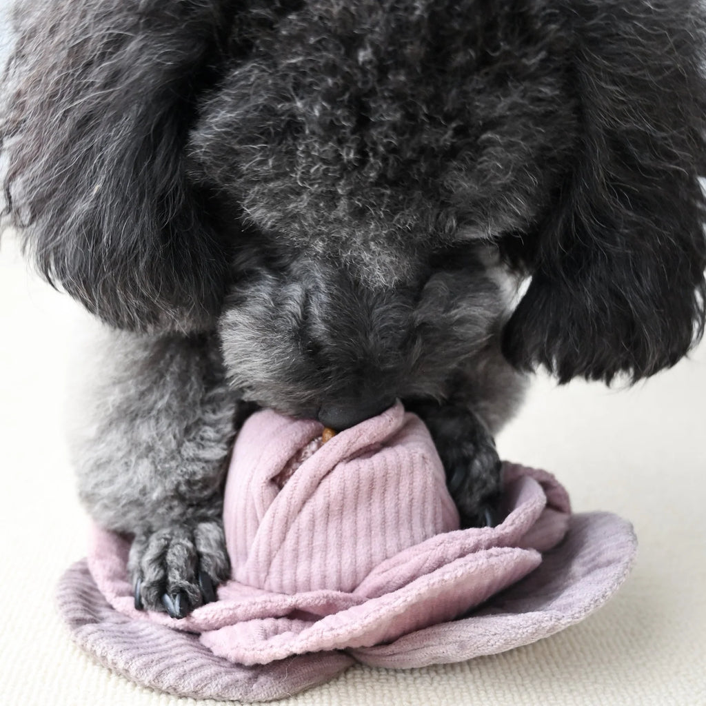 Пошукова іграшка Red Cabbage POP lambwolf collective