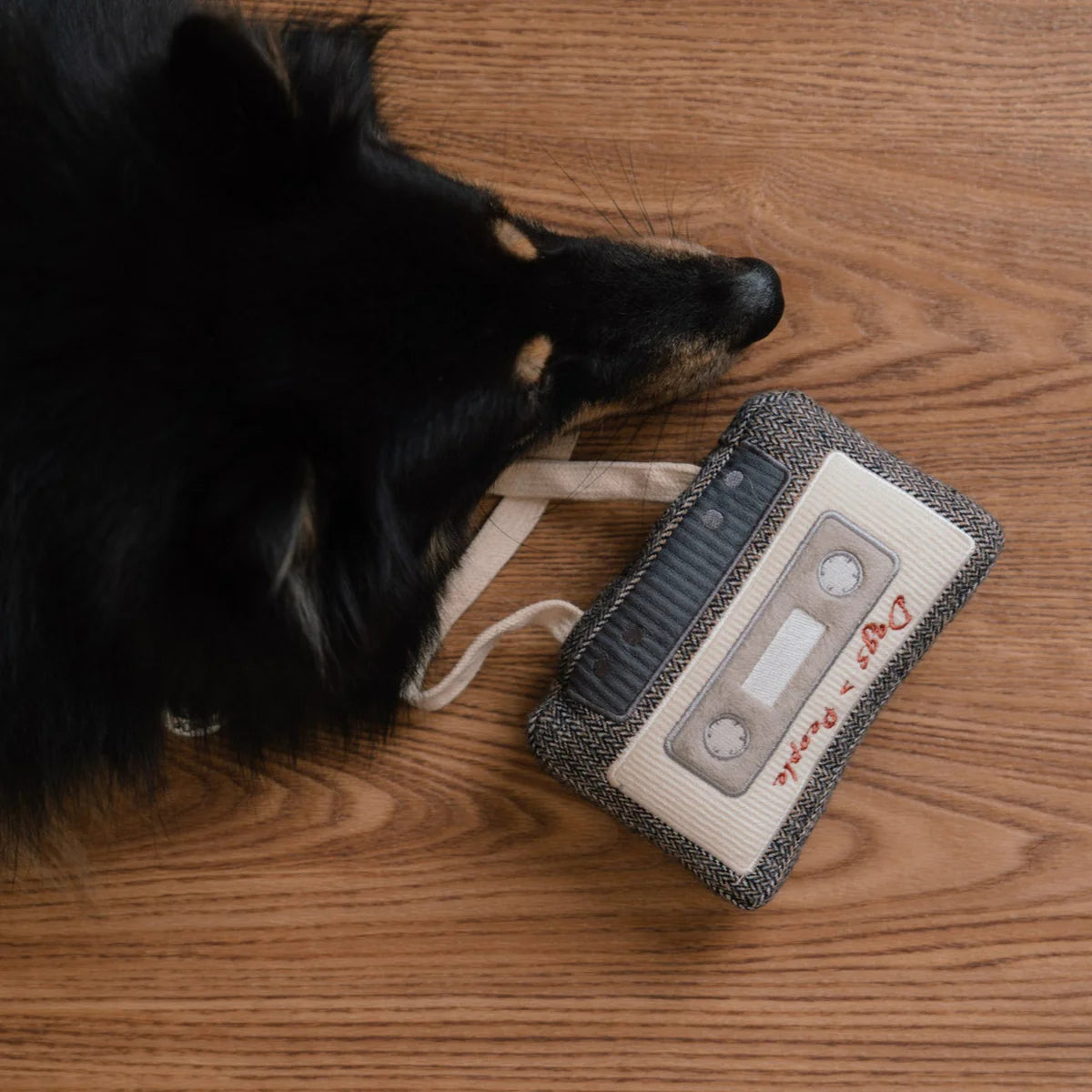 Пошукова іграшка CASSETTE lambwolf collective