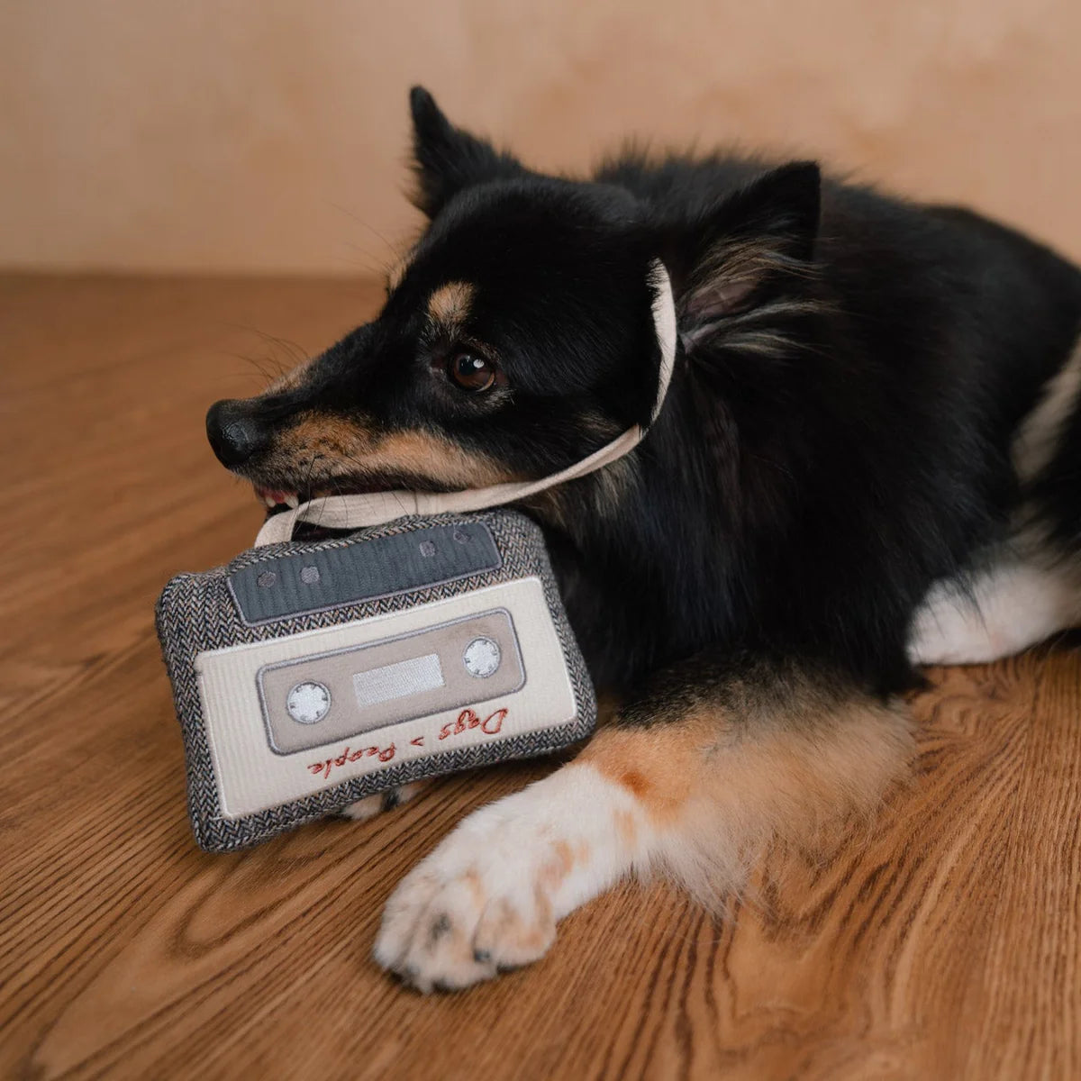 Пошукова іграшка CASSETTE lambwolf collective