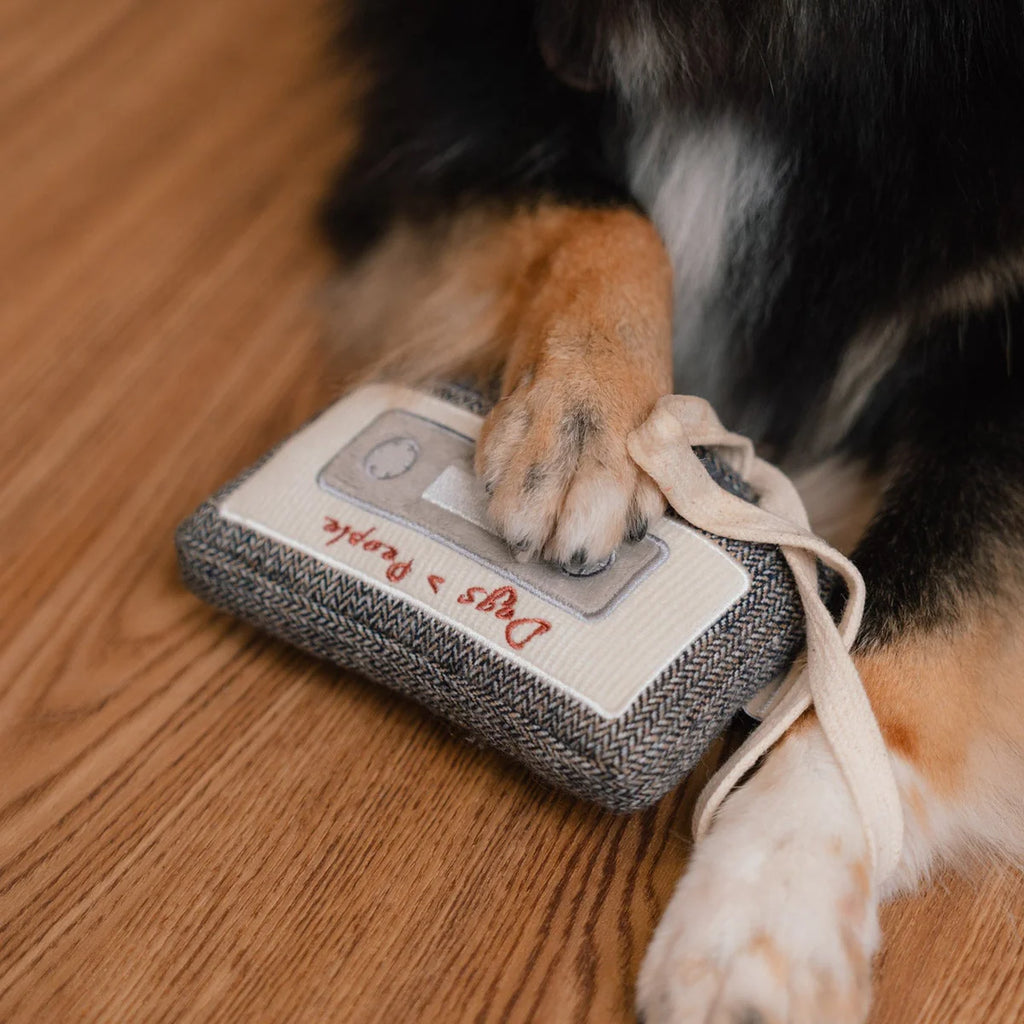 Пошукова іграшка CASSETTE lambwolf collective