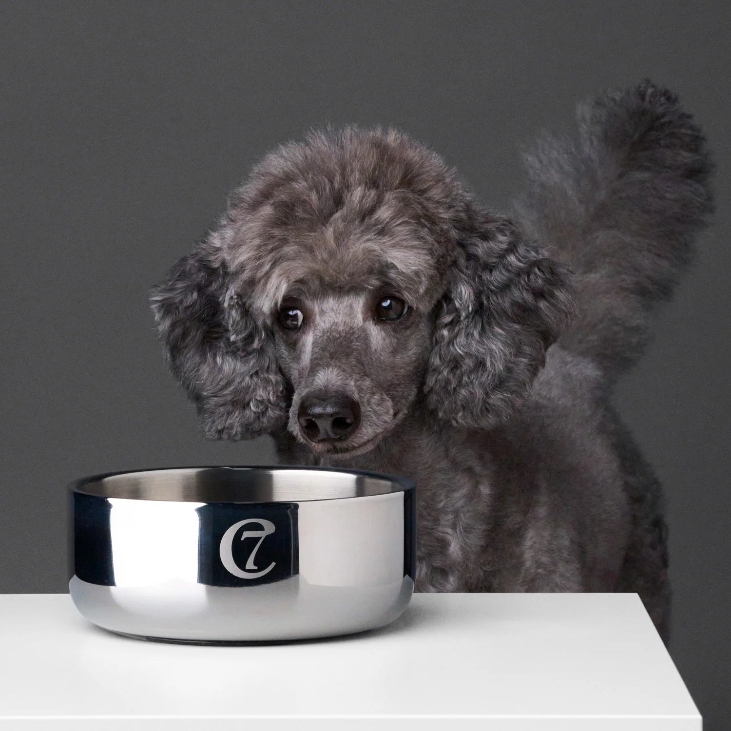 Миска для собак з нержавіючої сталі Dylan Cloud7