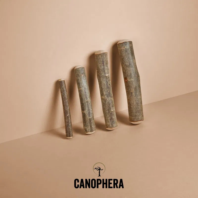 Палички з оливкового дерева Canophera