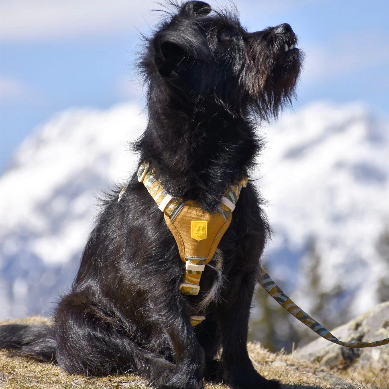 Шлея для собак Cloudbeam Woolly Wolf
