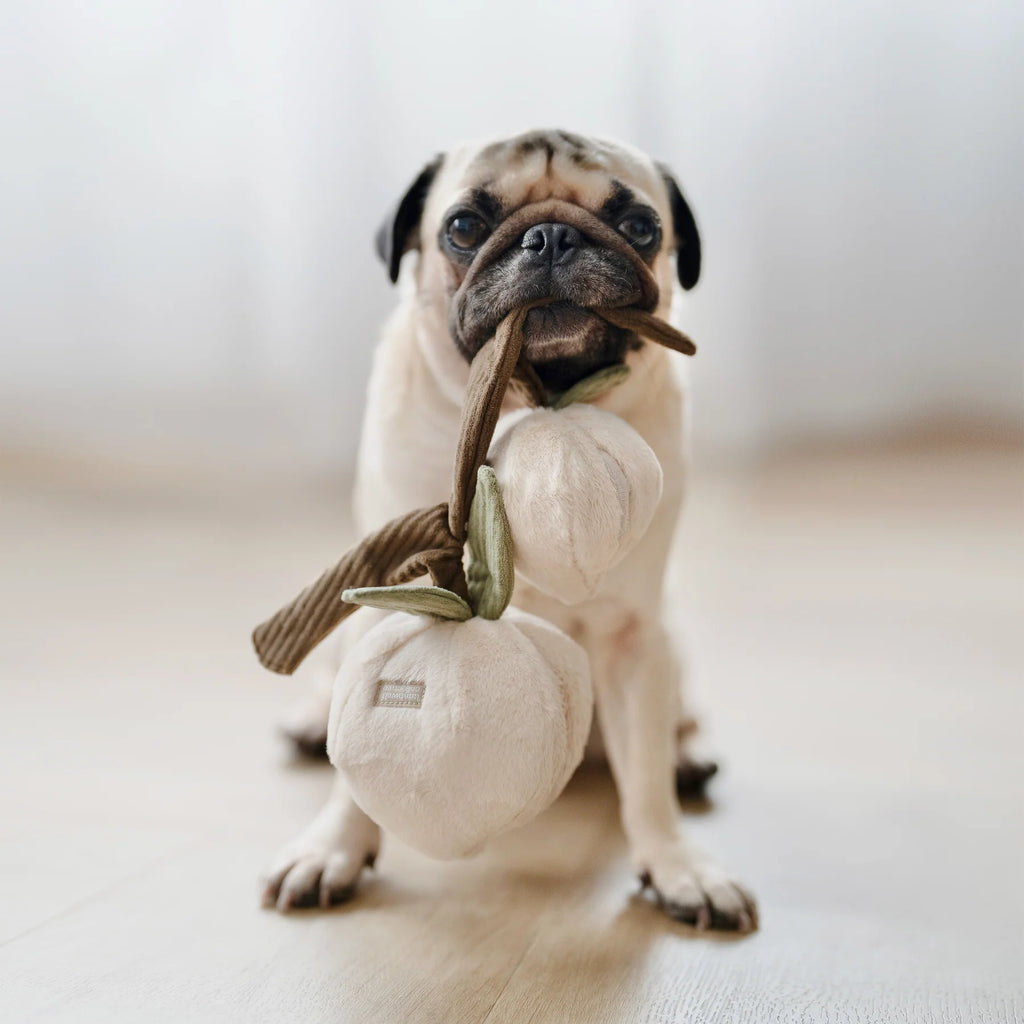 Пошукова іграшка MOMO lambwolf collective