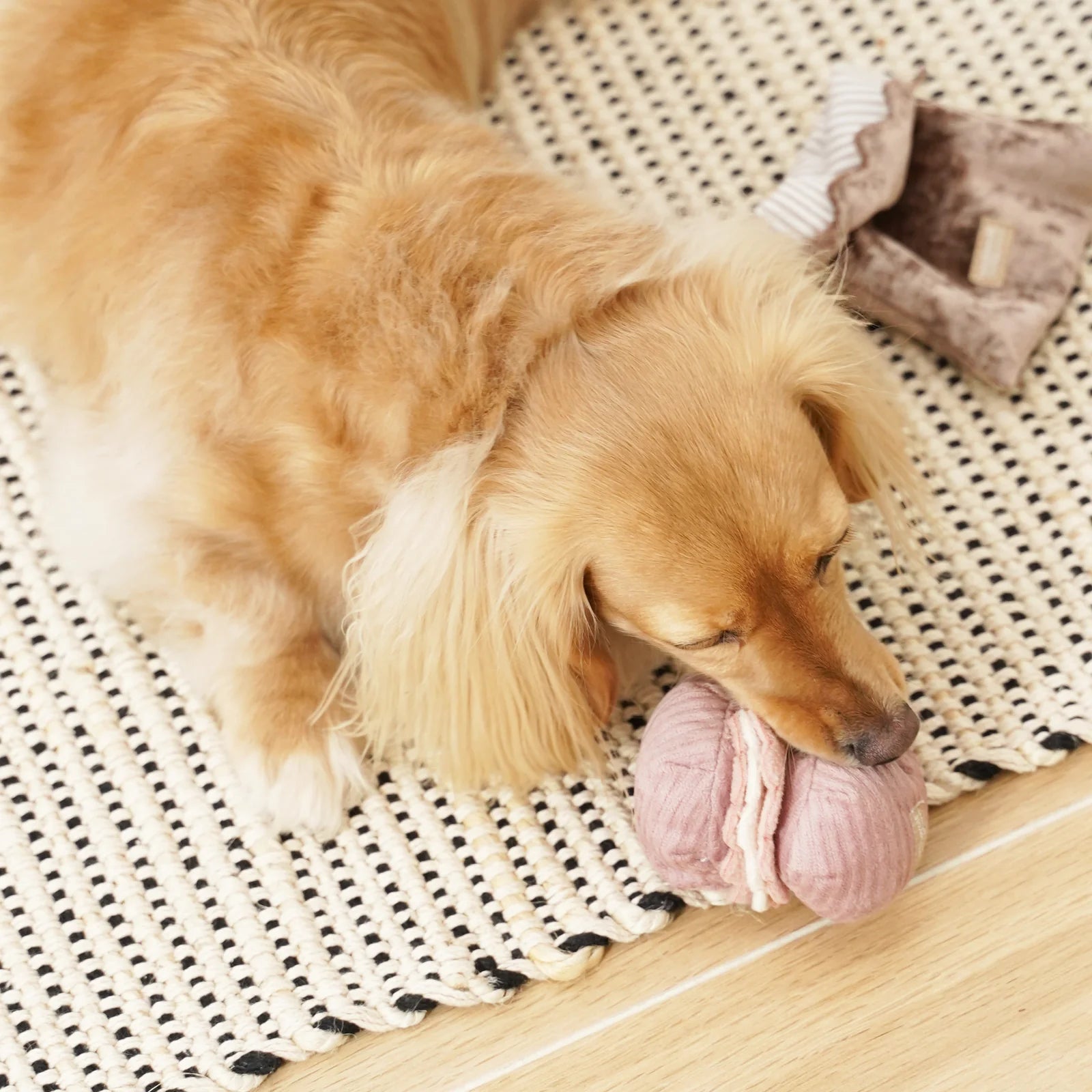 Пошукова іграшка PETITE TWO lambwolf collective