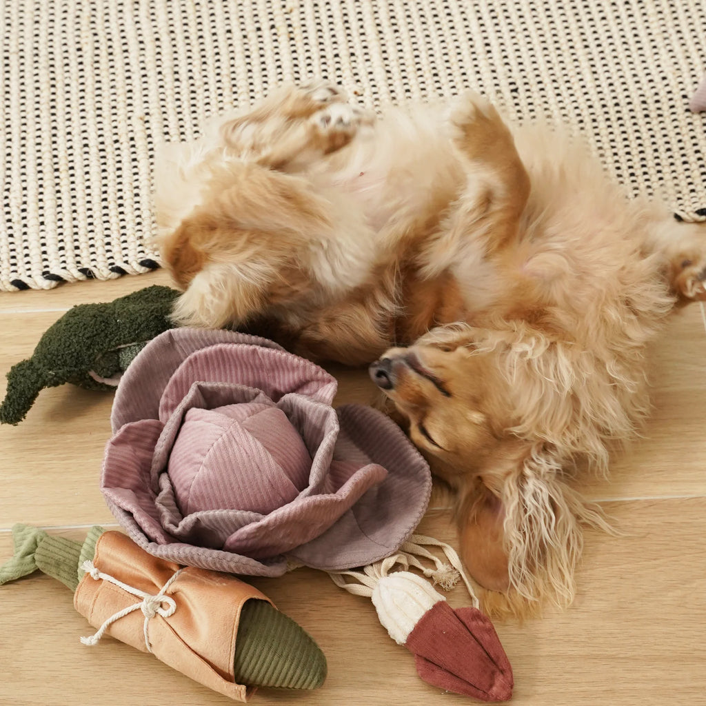 Пошукова іграшка Red Cabbage POP lambwolf collective