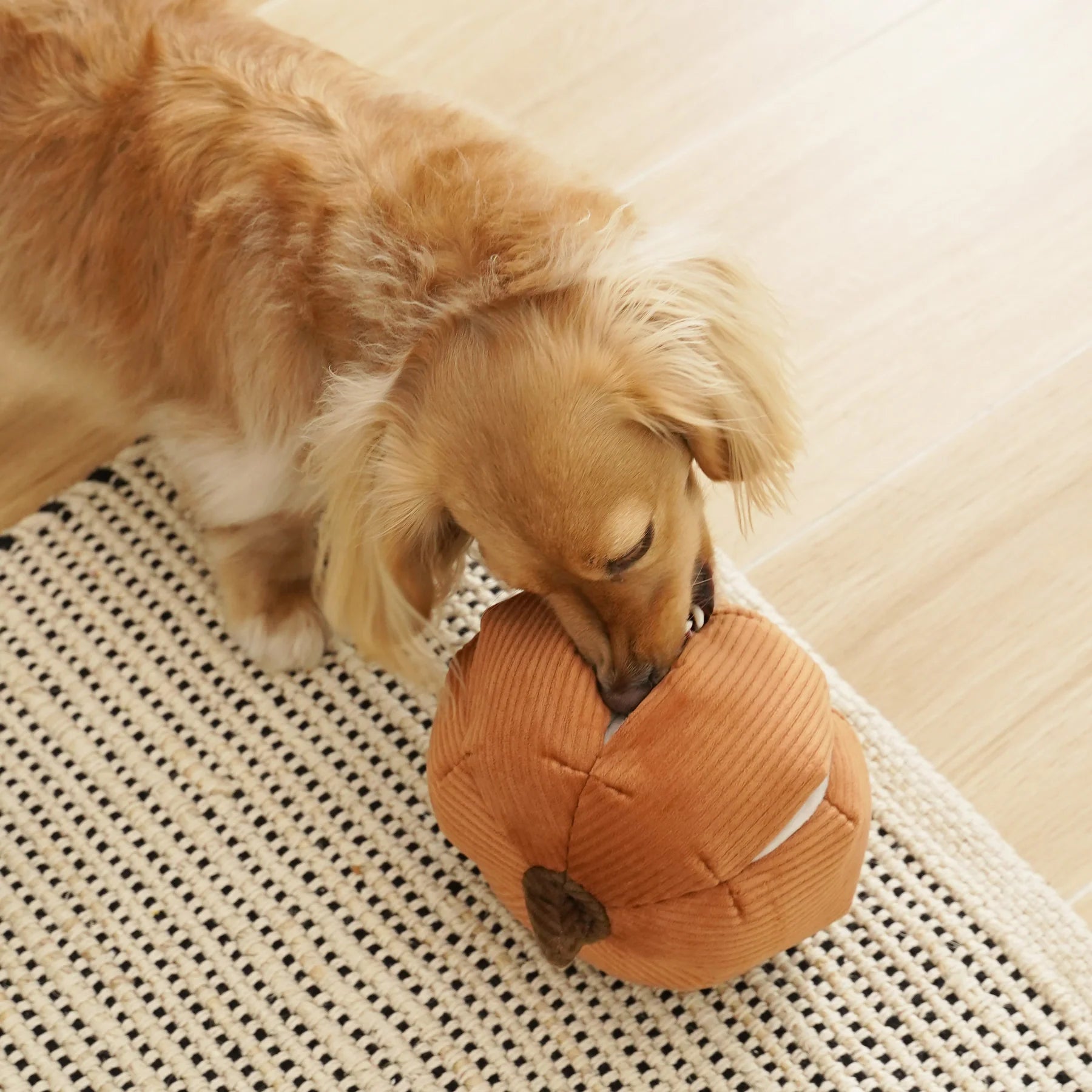 Пошукова іграшка CINDERELLA lambwolf collective